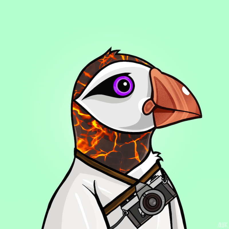 Poppin Puffins #6087